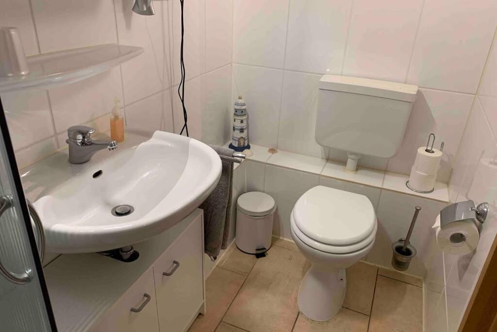 Ferienwohnung Schmidt Rosengarten  المظهر الخارجي الصورة