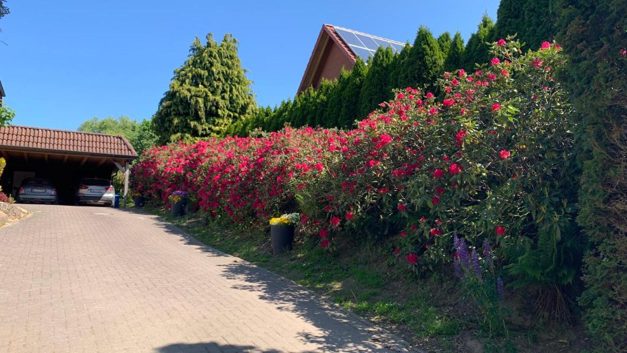 Ferienwohnung Schmidt Rosengarten  المظهر الخارجي الصورة